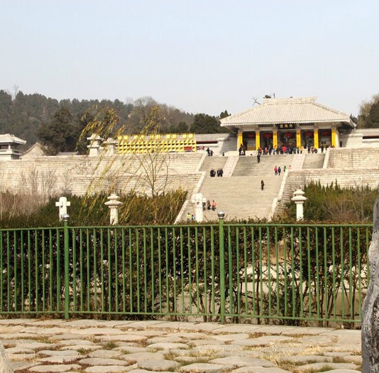 粉象生活代理条件