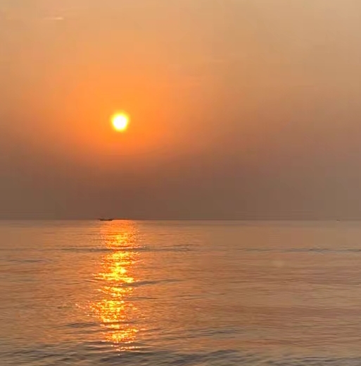 粉象生活里的保险是真的吗