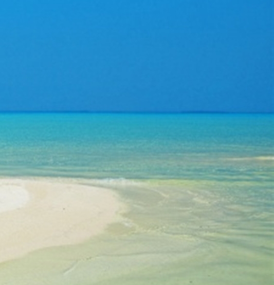 粉象生活开通方法