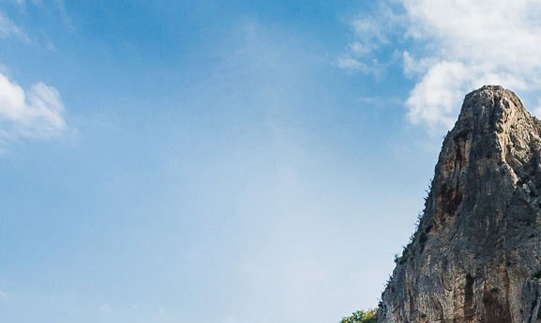 粉象生活邀请码