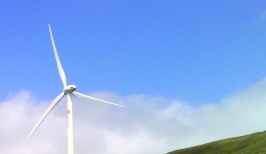 阳江粉象生活如何使用