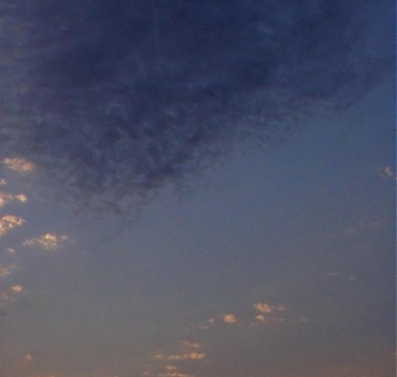 粉象生活赚钱教程