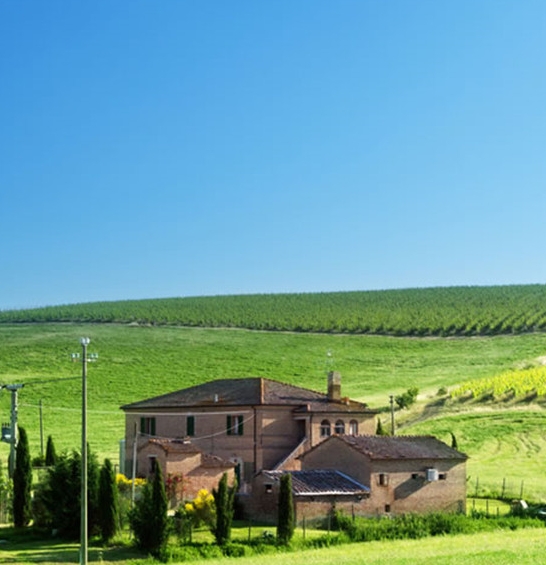 粉象生活怎么赚钱的