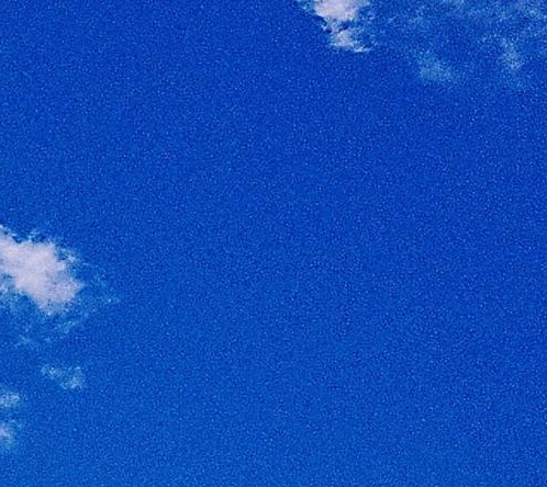 明星直播粉象生活