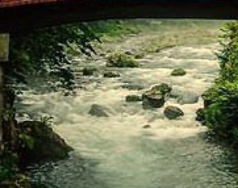 粉象生活赚钱教程