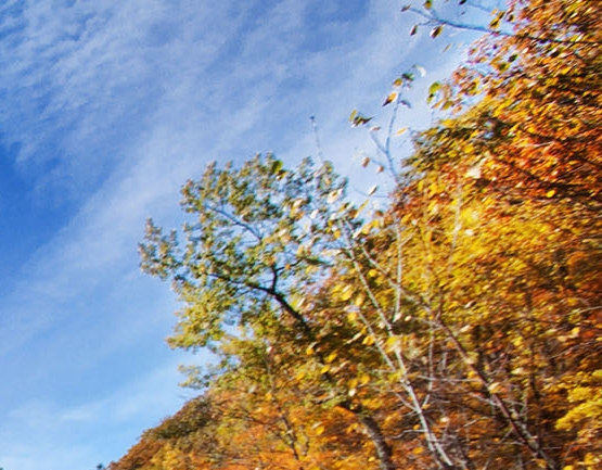 粉象生活退款吗