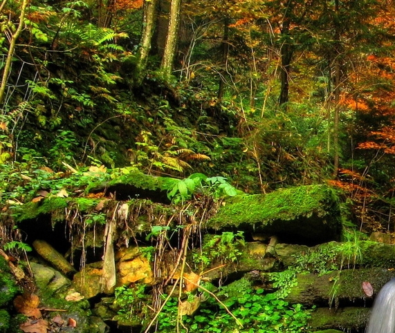 粉象生活怎么赚钱的