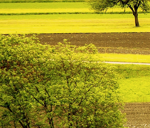 深圳粉象生活官方