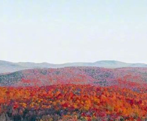 粉象生活管理app