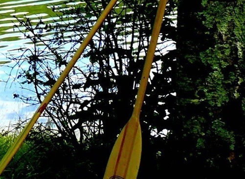 粉象生活邀请码