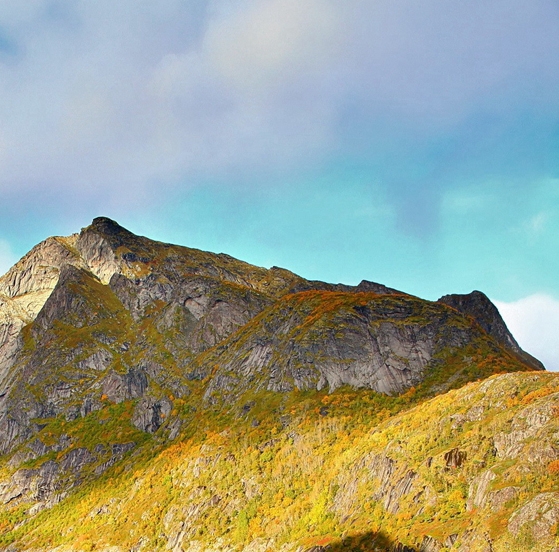 粉象生活收益分成怎么提现