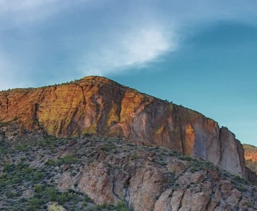 粉象生活下载app