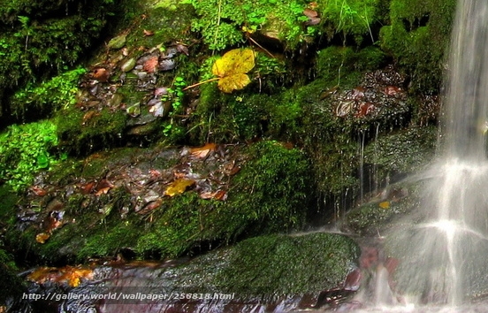 上海群星粉象生活