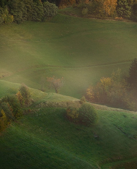 粉象生活怎么赚钱的