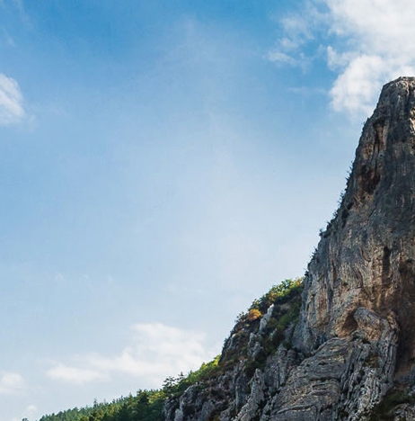 河源粉象生活收费