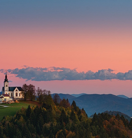粉象生活推广规则