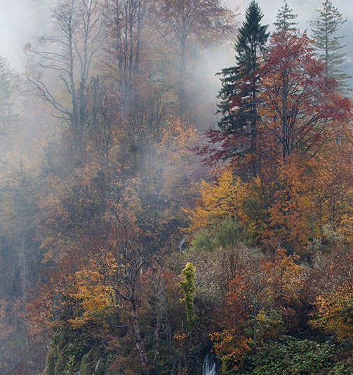 粉象生活下载官方正版
