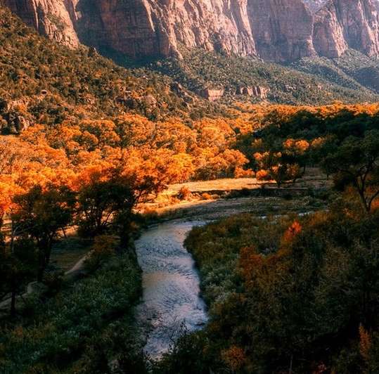湖北短视频运营涨粉