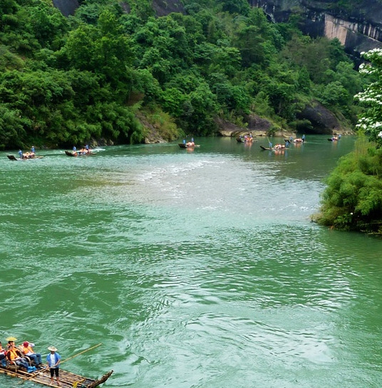 吕梁粉象生活vip