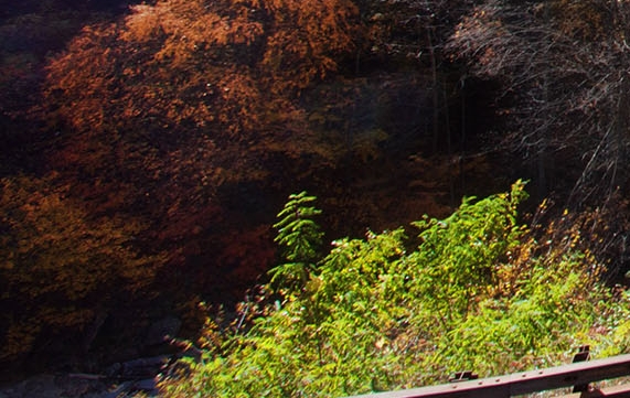 粉象里的东西是正品吗