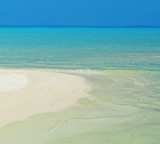 潮州粉象生活收费