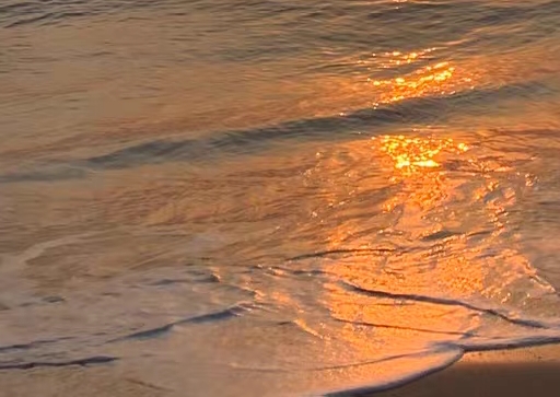 粉象生活下载app