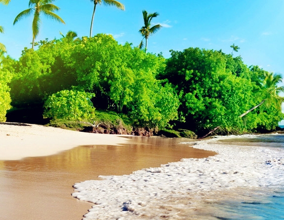 粉象生活怎么删除微信