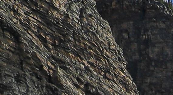 河源和平生活网