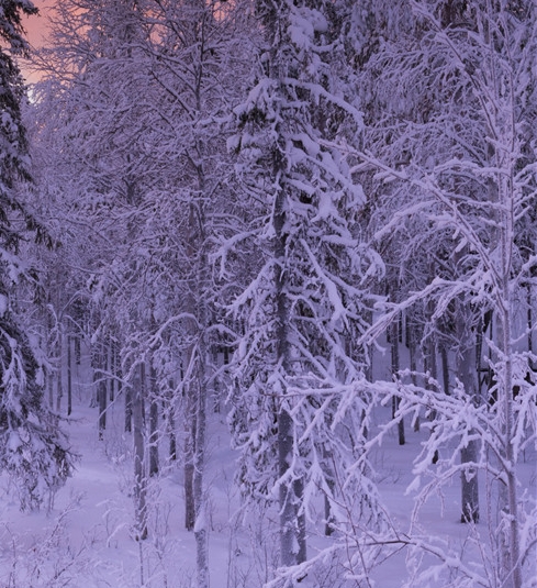 粉象生活分享后怎么没有佣金