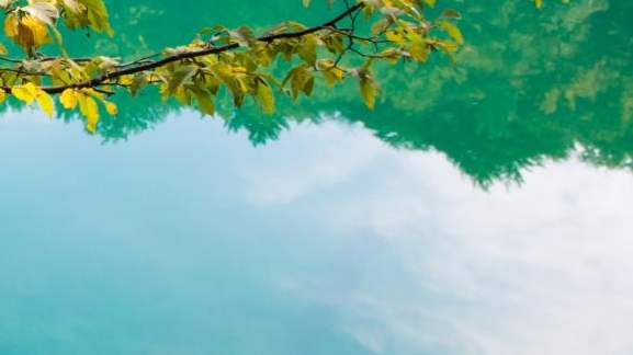 粉象生活峰会图片