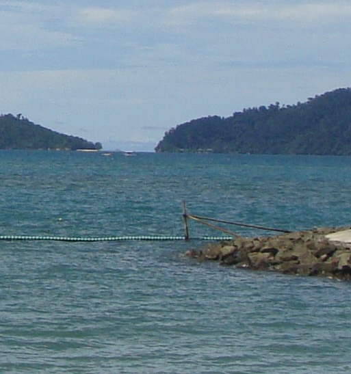 下载粉象app下载