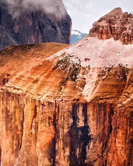 真实的粉象生活