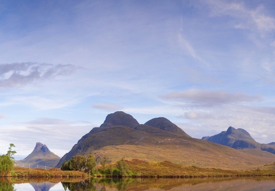湖州选择粉象生活品牌好吗