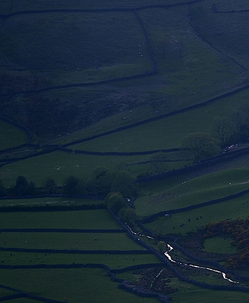 粉象生活是干嘛的