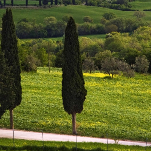 粉象生活邀请码