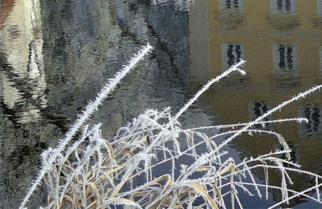 星河银与粉象生活哪个好
