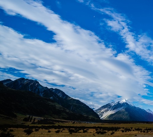 粉象生活下载官方正版