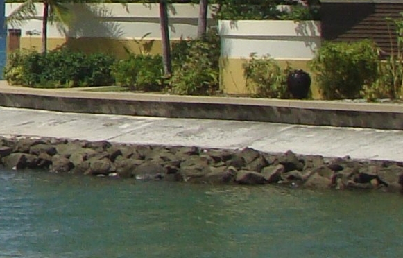 综合粉象生活推广