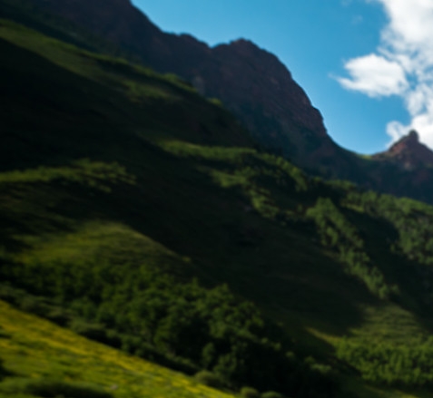 粉象生活直播伴侣