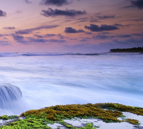 如何加入粉象生活推广