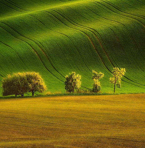 粉象生活399升级会员