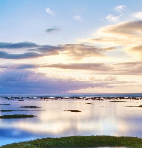 粉象生活开店步骤
