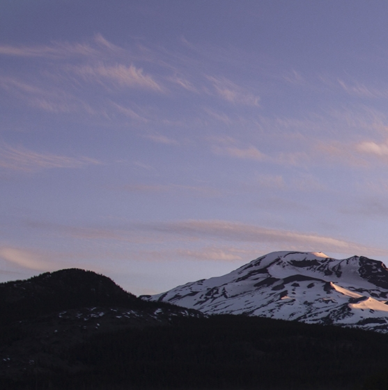 下载粉象app下载