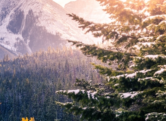 没有货怎么在小红象上赚钱