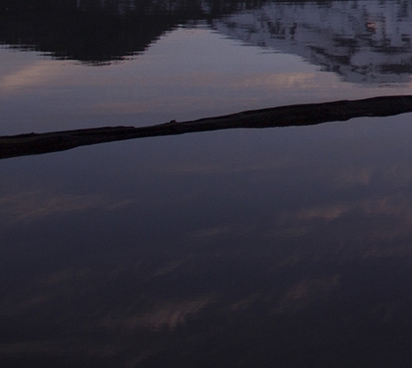 粉象生活是个坑