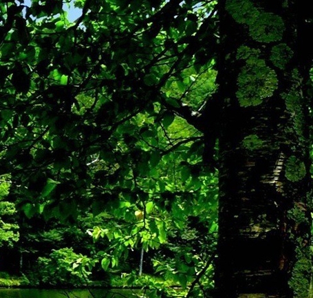 粉象生活神器大全