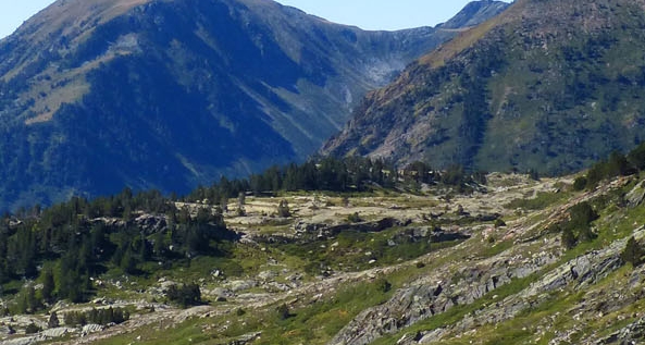 粉象人工客服电话