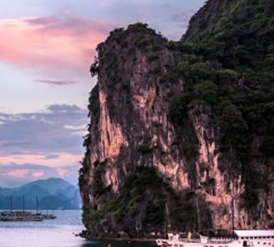 粉象生活内部环境