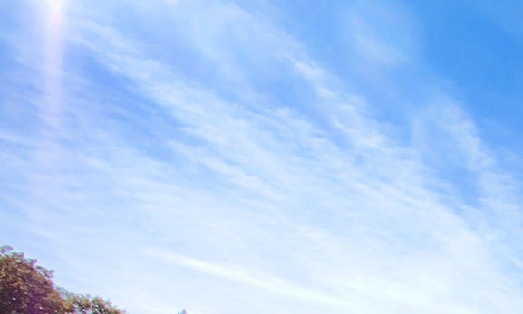 粉象生活是干什么的