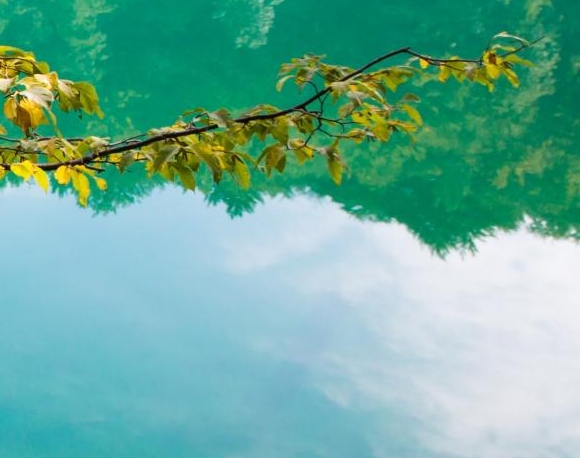 粉象生活赚钱教程